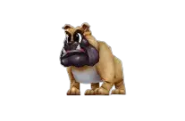Angry Bulldog