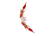 Apocalypse Bow
