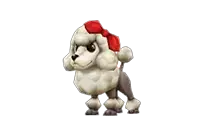 Dodo Poodle