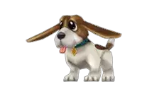 Shinan Beagle