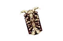 Skull Shield