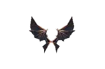 Wings of Dragon