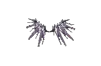 Wings of Ruin